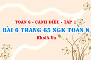 Bài 6 trang 65 SGK Toán 8 tập 1 Cánh Diều